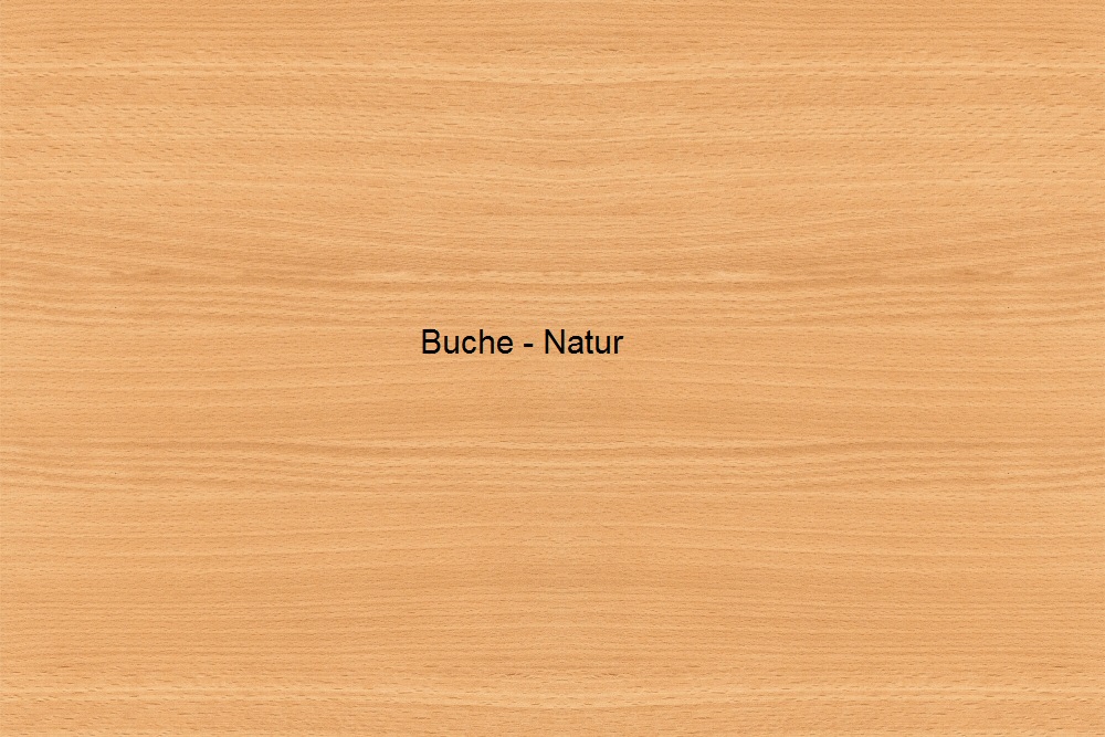 Pflegebett Burmeier Regia Easy-Switch