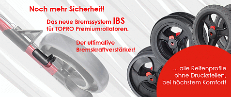 IBS-Bremssystem